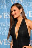 th_95142_Celebutopia-Tia_Carrere_arrives_at_the_7th_Annual_Visual_Effects_Society_Awards-09_122_358lo.jpg