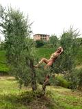 Federica olive treek1s6pfhng1.jpg